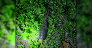 পঞ্চগড়ে বালি-পাথরের উত্তোলনের সময় মিললো মর্টার শেল